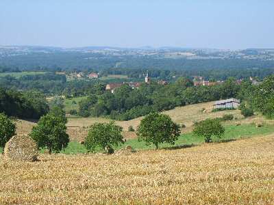 Depuis le bois du Berceau